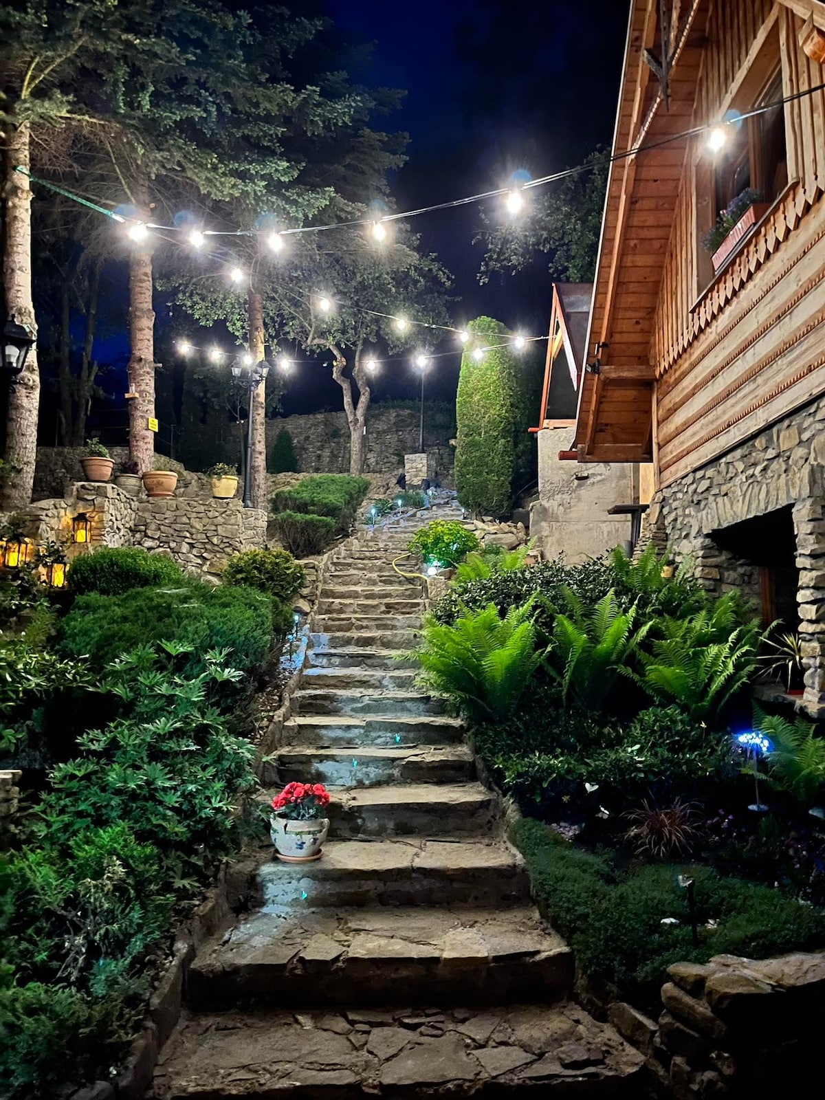 A stone staircase lined with vibrant plants leads up to a beautifully illuminated house. Soft lights hang above, creating a welcoming ambiance. Lanterns are positioned along the path, enhancing the serene garden atmosphere at night.