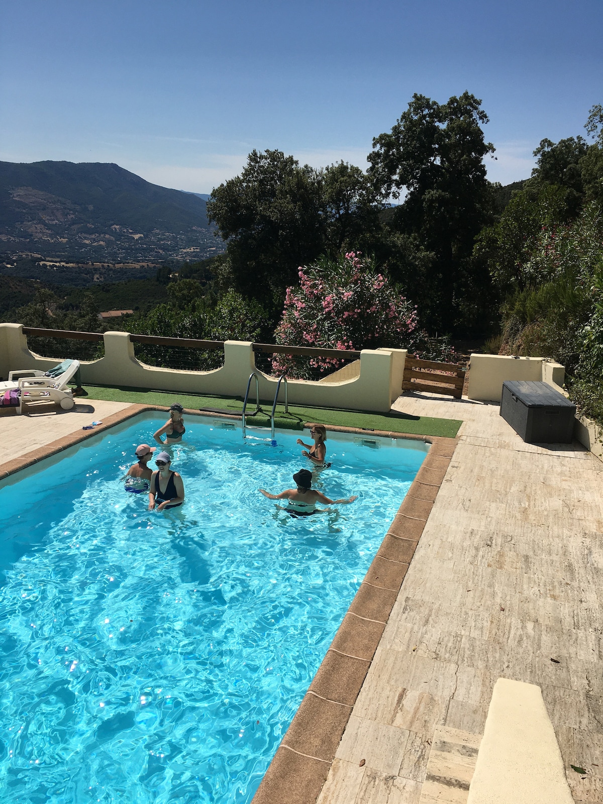 A rectangular pool surrounded by a sunlit terrace features people enjoying the water. Lush greenery and mountains create a scenic backdrop. The pool area is equipped with a ladder and a sofa is positioned along the edge, offering a space for relaxation.