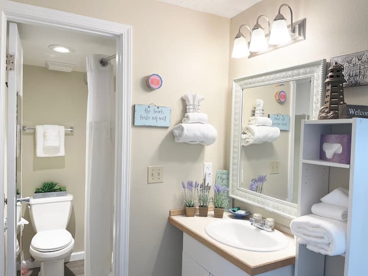 Condo 204 Oceanfront Studio Pet Friendly! Condominiums for Rent in