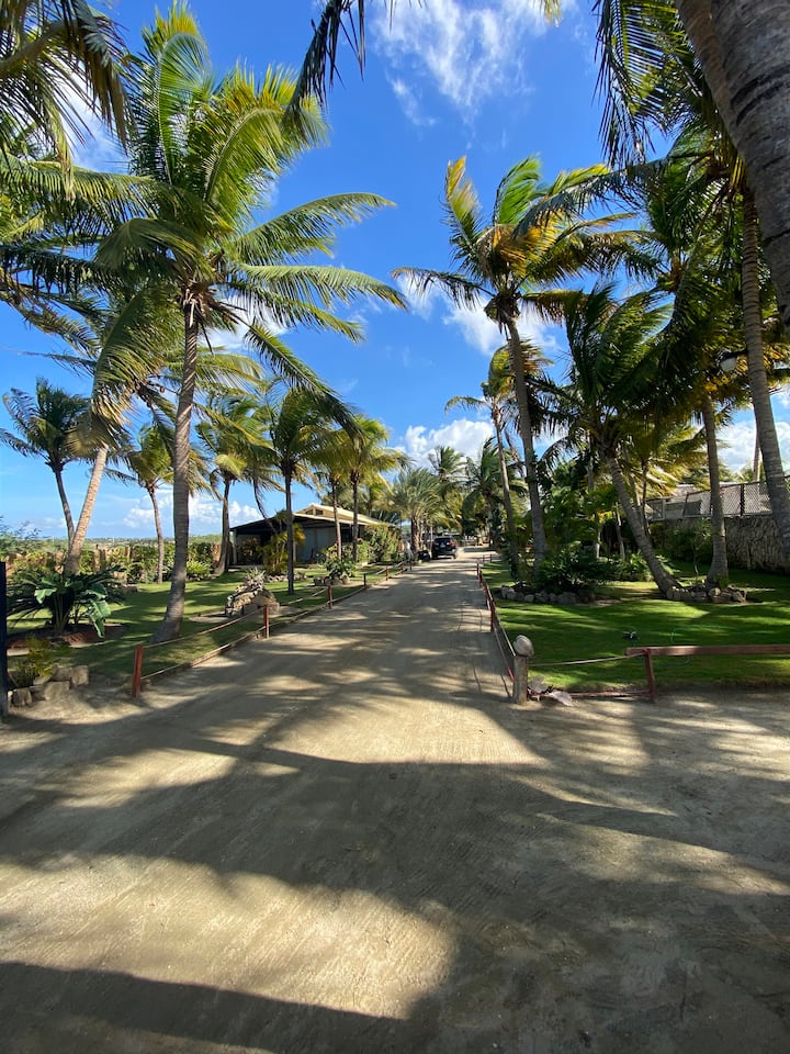 Villa Vasquez Holiday Rentals & Homes - Monte Cristi Province, Dominican Republic  Airbnb