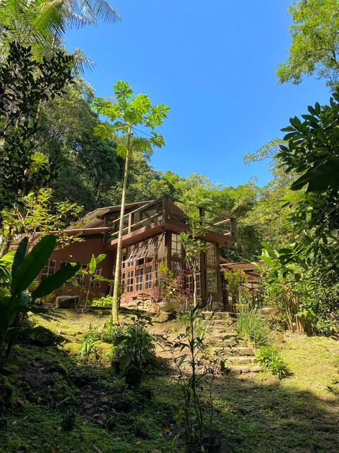 House by the Waterfalls, Jungle immersion
