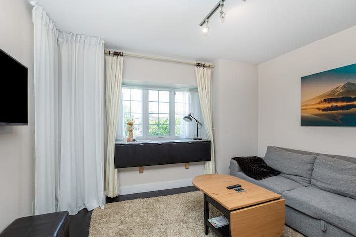 Beautiful Home In The Heart Of Osborne Village - Winnipeg