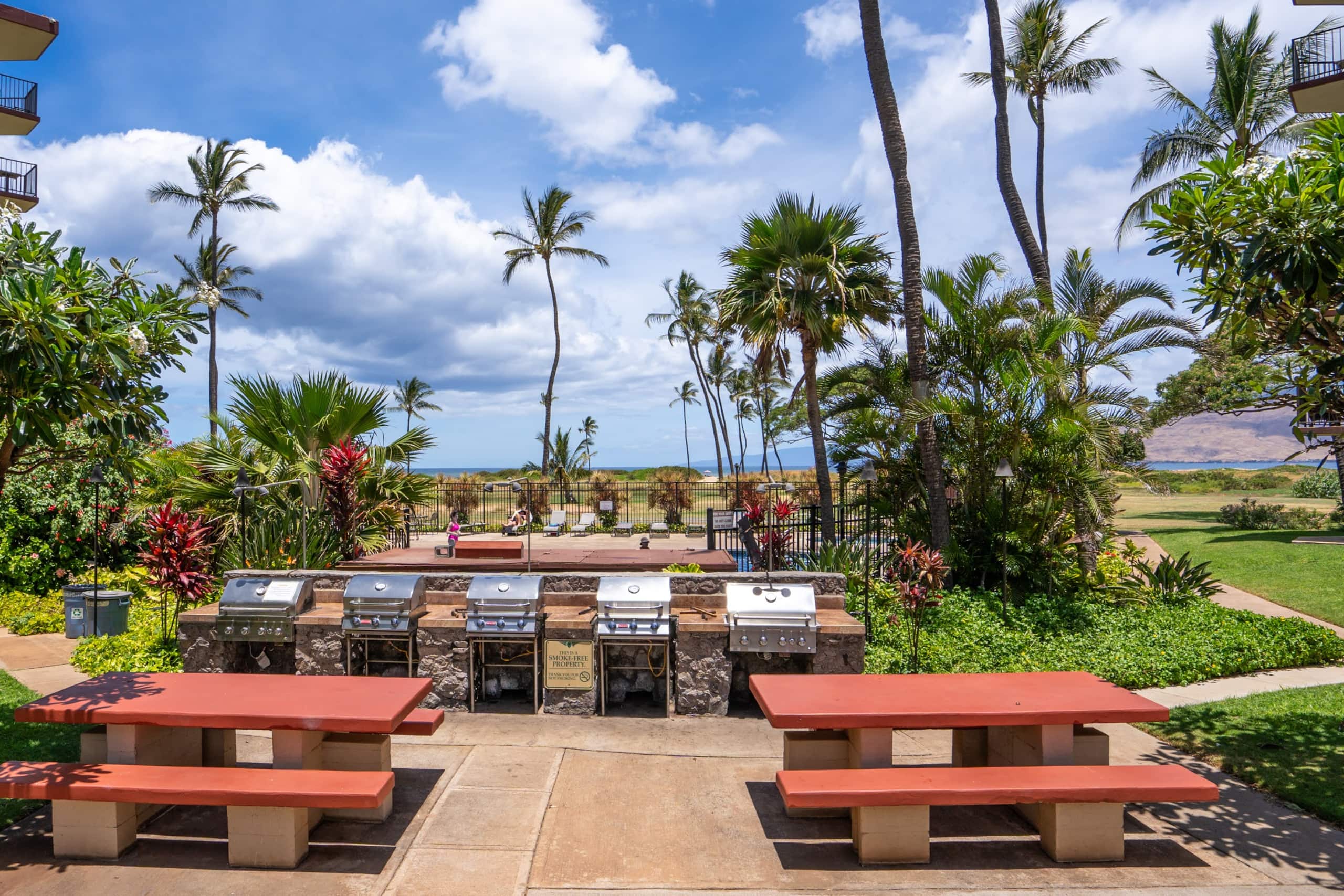 Condo in Kihei · ★4.85 · Studio · 1 bed · 1 bath - Image 11