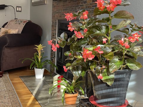 Popular Airbnb listing: Chezbon Boulder in North Boulder