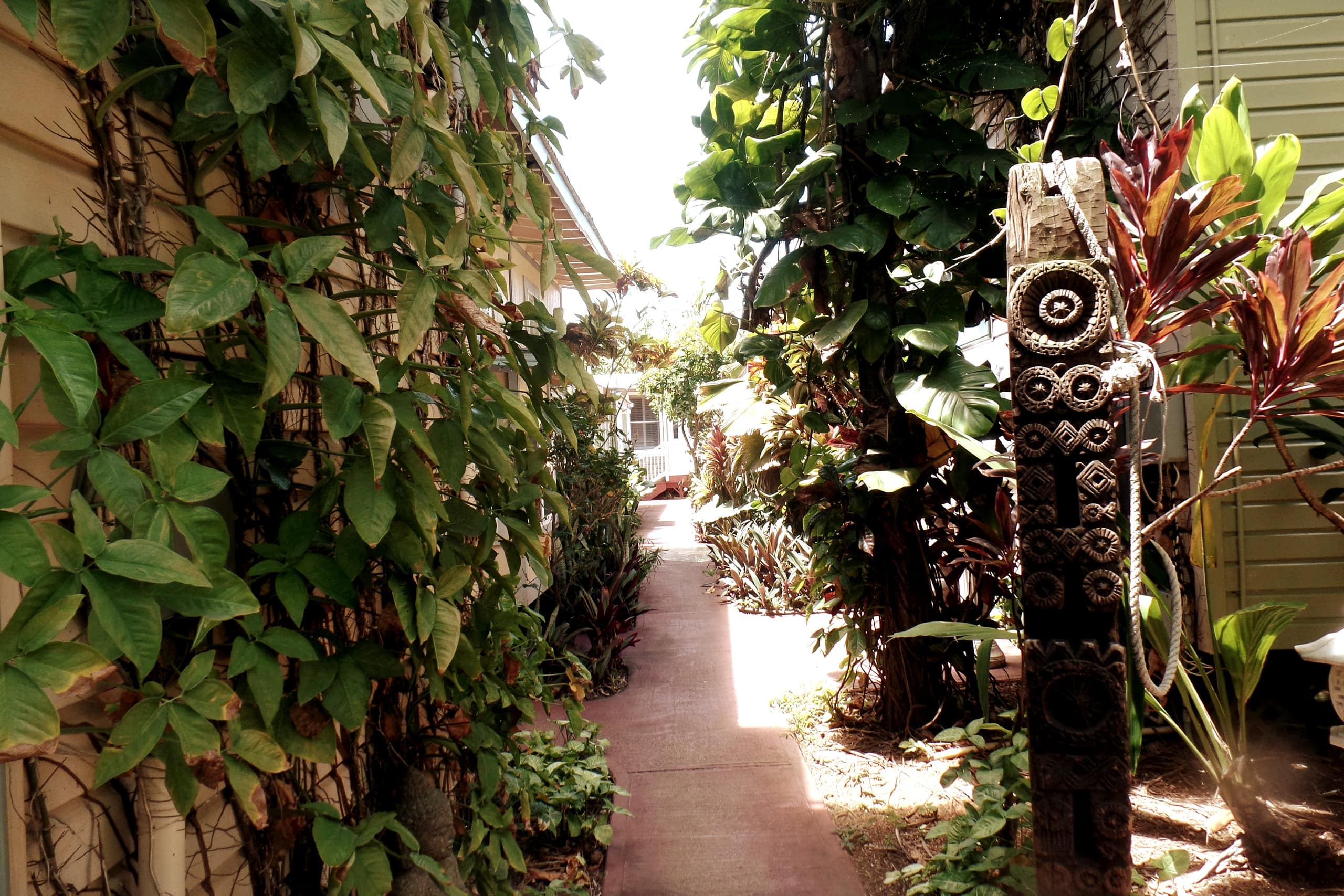 Cozy, charming secluded 1 bedroom close to beach - Photo 27