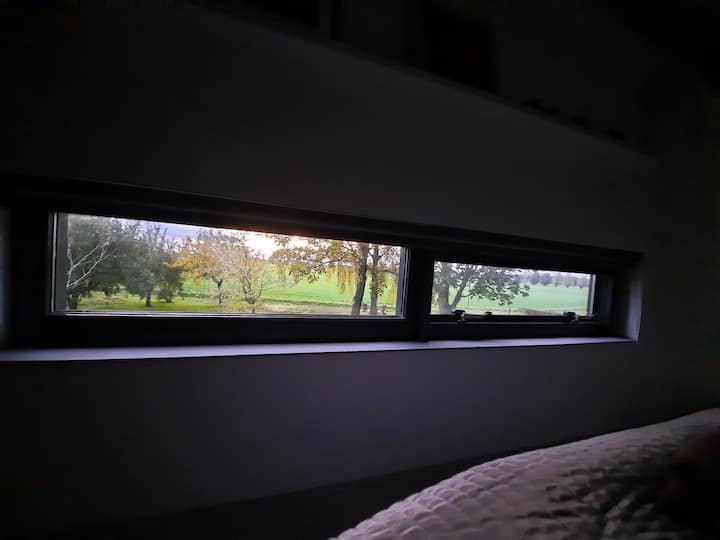 我躺在床上，看到........