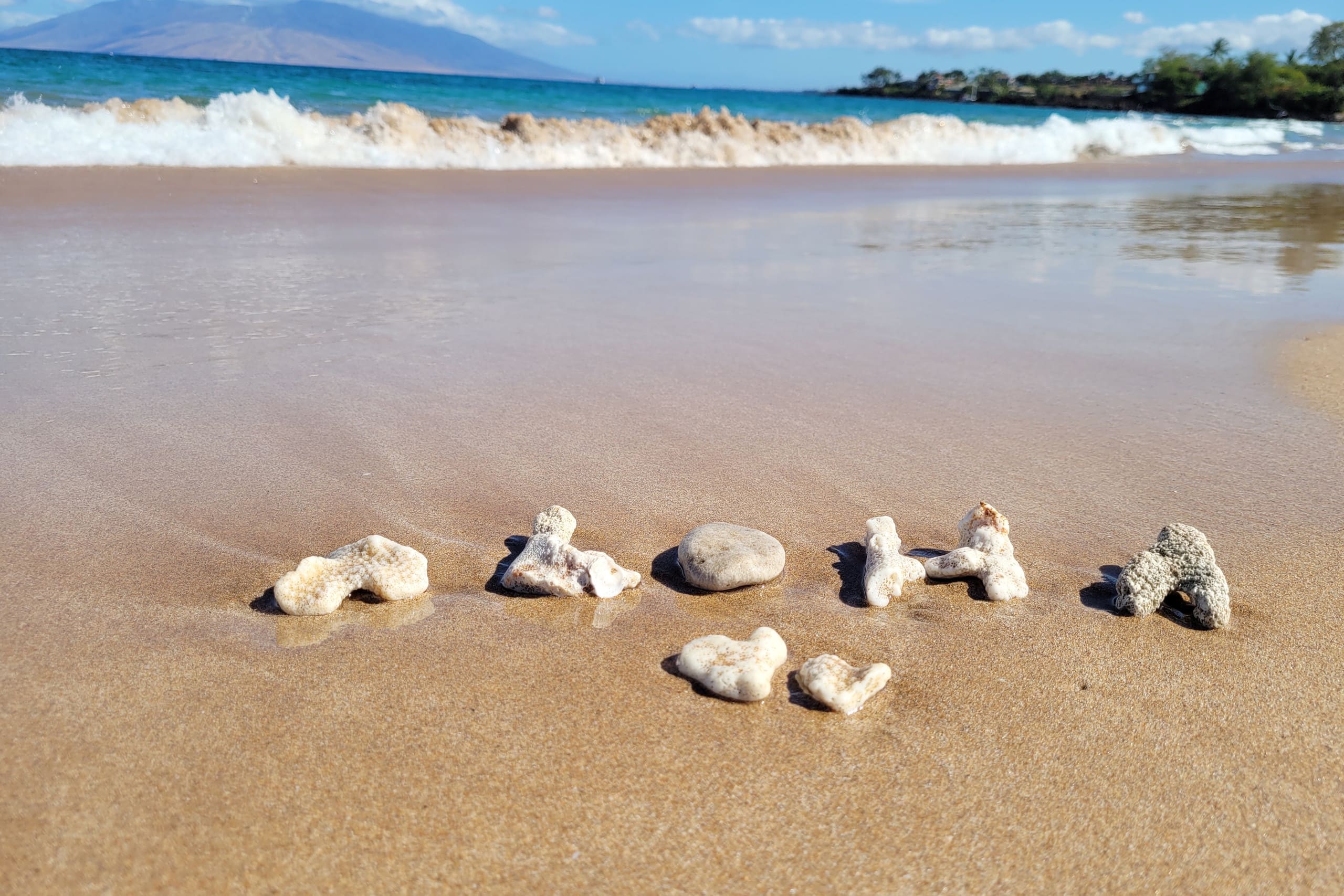 Condo in Kihei · ★4.82 · 1 bedroom · 1 bed · 2 private baths - Image 7