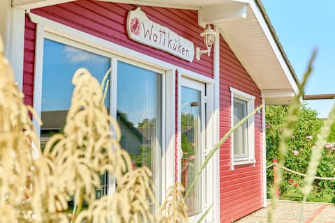 Wattküken, on the North Sea, Wi-Fi, dog, sauna