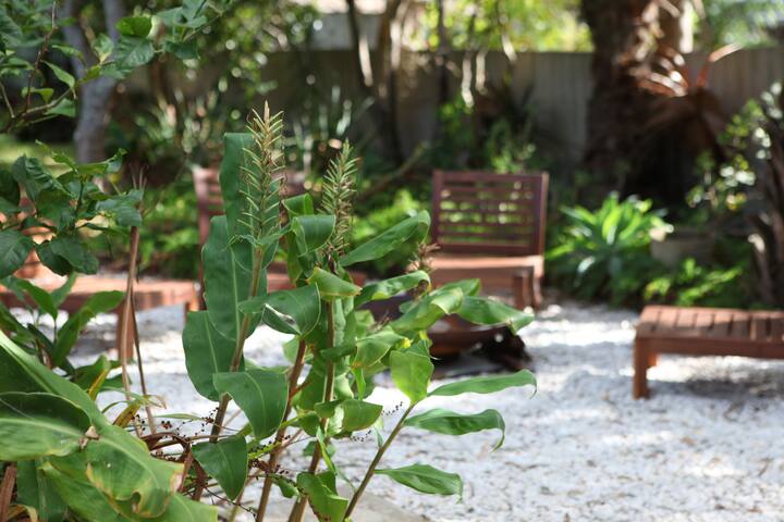 Lilly Pilly House, Bundeena gallery image 4