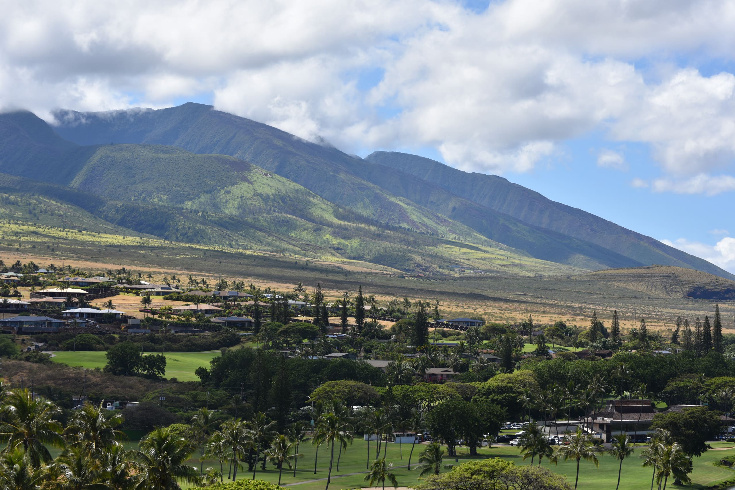 Condo in Lahaina · ★4.97 · Studio · 1 bed · 1 bath - Image 14