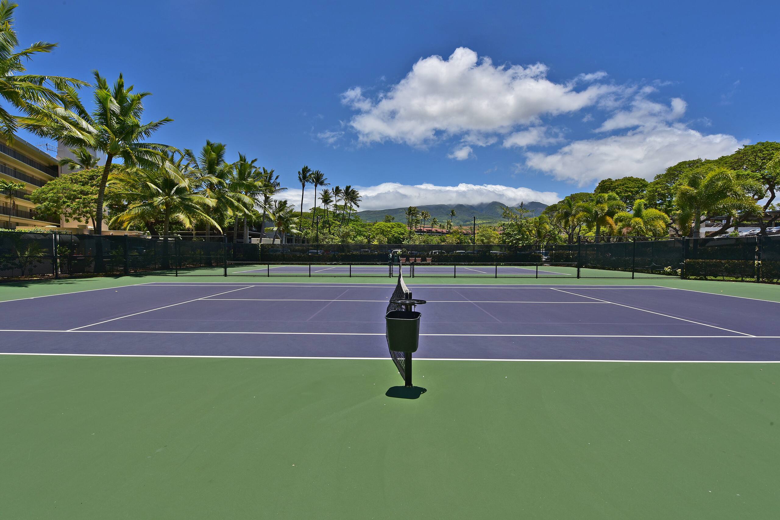 Condo in Lahaina · ★4.97 · Studio · 1 bed · 1 bath - Image 16