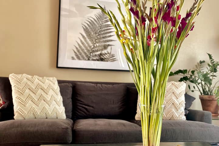 宽敞的起居室：
紧邻厨房区域，配有舒适的沙发和起居区，窗户朝东。 台灯上有写字台和带充电端口的写字台和椅子。在阳光明媚的日子里，没有什么比这个空间更好的了！ 