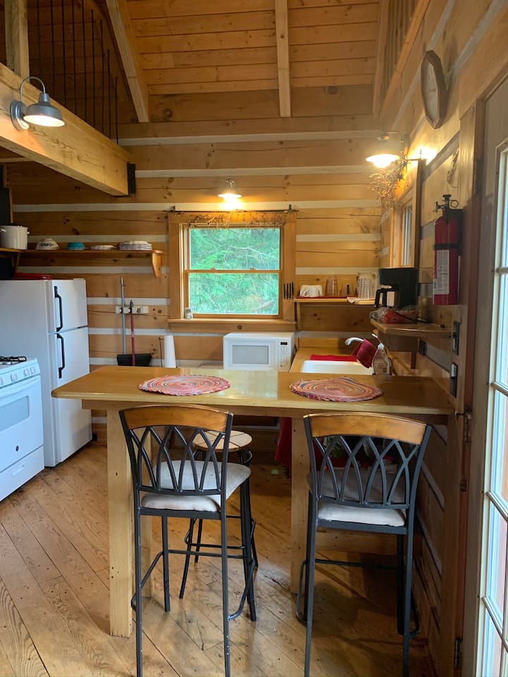 12 Best Cabins For Rent In Snowshoe, West Virginia Updated 2024 Trip101