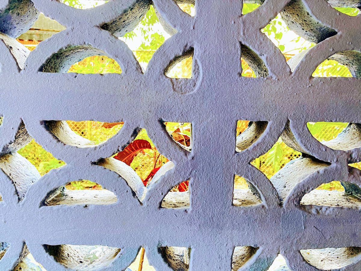 A decorative concrete wall is depicted, featuring an intricate pattern of interlocking circles. Bright greenery and warm-colored foliage are visible through the openings, providing a glimpse of the vibrant outdoor environment beyond.