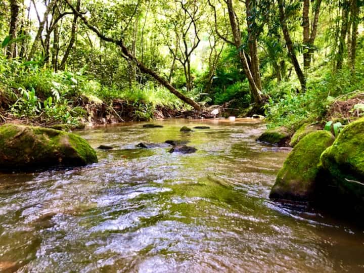 Private Creek Pool Cottage Granny Lulu