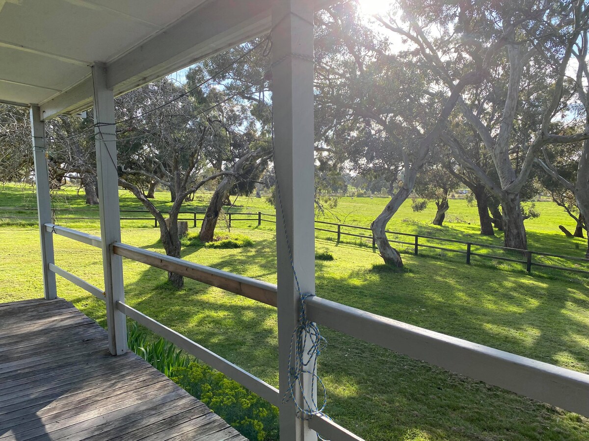 A view from the porch showcases a spacious green lawn, bordered by trees and wooden fencing. Sunlight filters through the leaves, casting gentle shadows on the ground. The natural landscape evokes a sense of tranquility and connection to the outdoors.