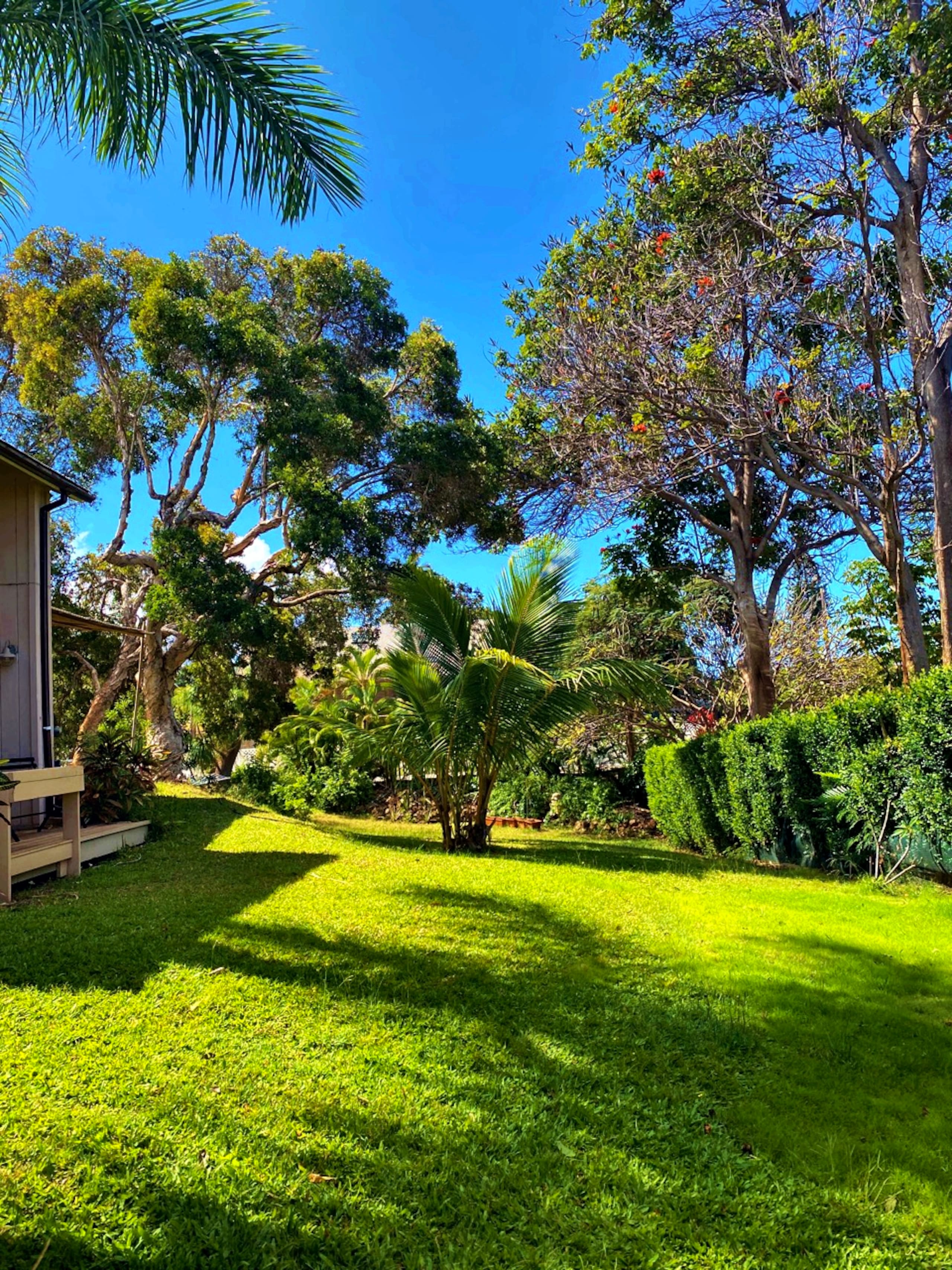 Home in Kihei · ★4.97 · 2 bedrooms · 2 beds · 1 bath - Image 5
