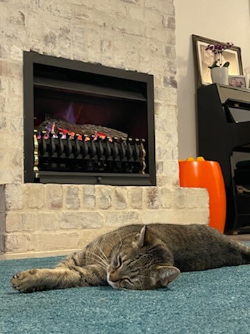 A cozy living space features a gas fireplace with a stylish design, set against a textured brick wall. A relaxed cat is seen lying on a soft blue area rug in front of the fireplace, contributing to the warm ambiance of the room.