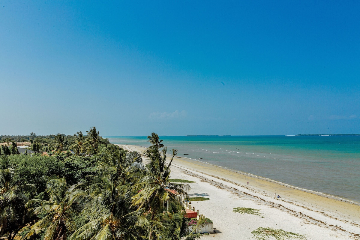 A wide view of the beachfront showcases golden sand meeting a calm blue sea, with gently swaying palm trees lining the shore. The horizon displays a clear sky, offering a serene coastal ambiance.
