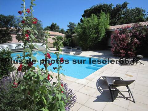 Altéas: large swimming pool common to all 4 cottages