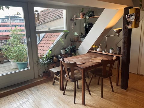 Propriété Airbnb réussie: F2 apartment with terrace à Strasbourg