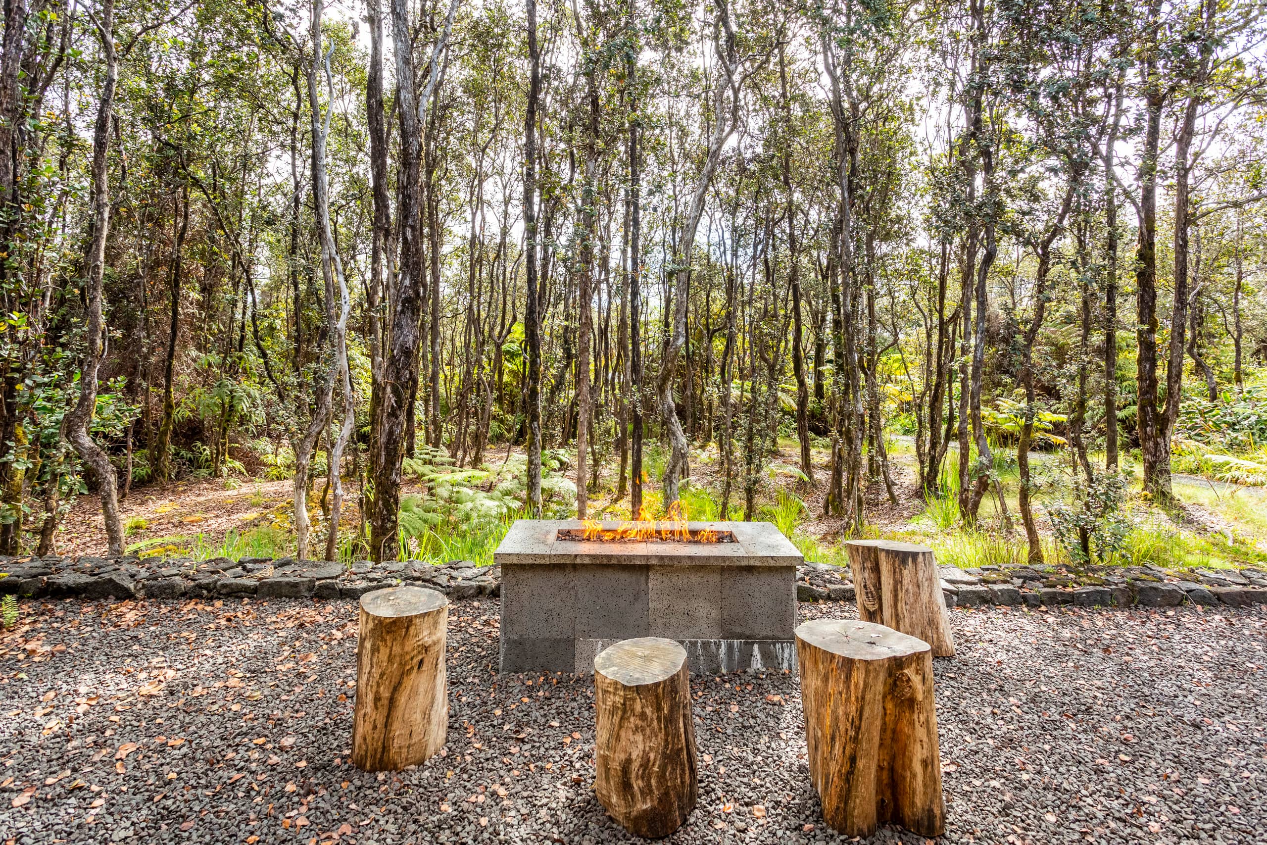 Cabin in Volcano · ★4.96 · Studio · 2 beds · 1 bath - Image 24