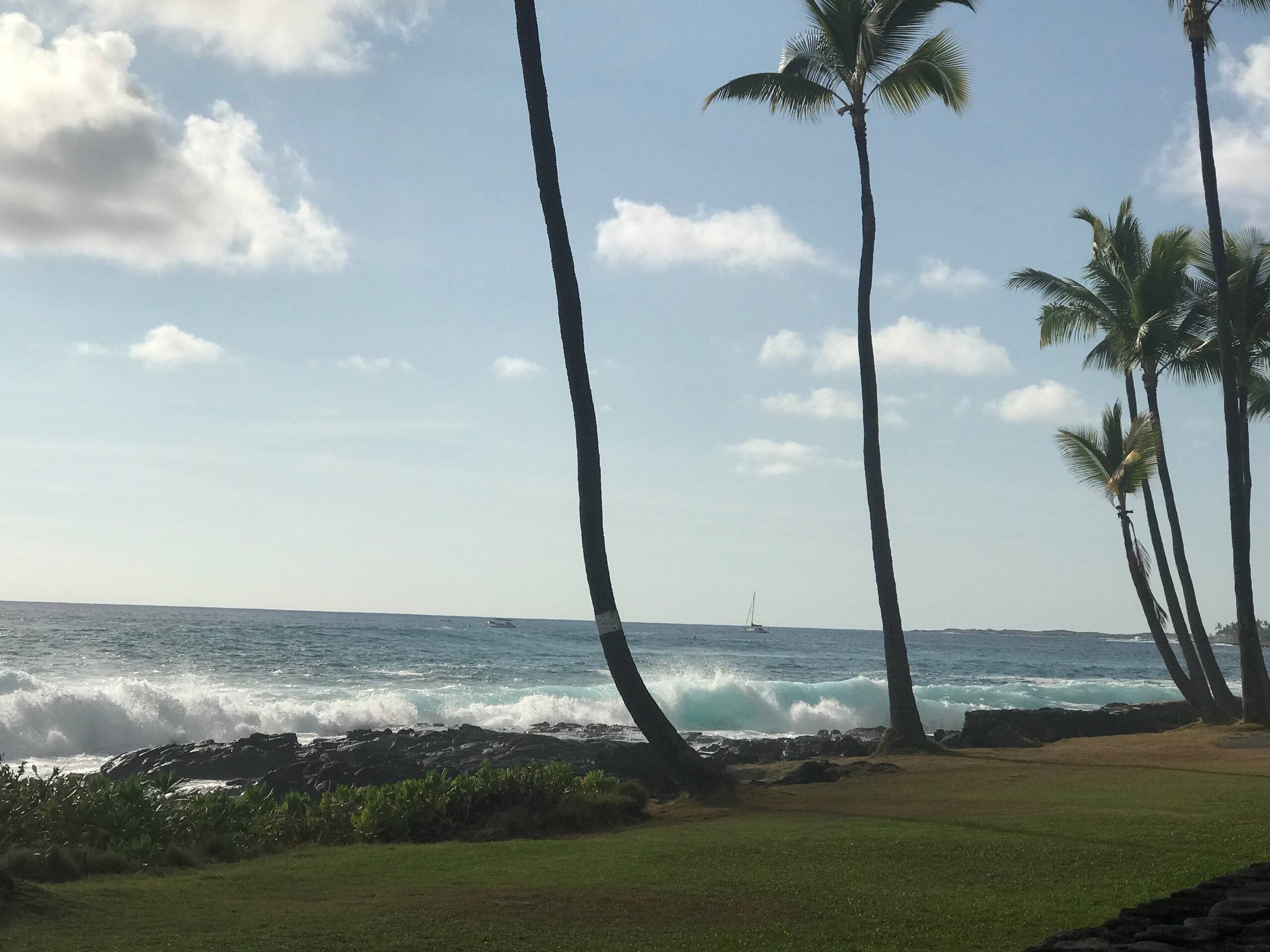 Condo in Kailua-Kona · ★4.9 · 1 bedroom · 1 bed · 1 bath - Image 31