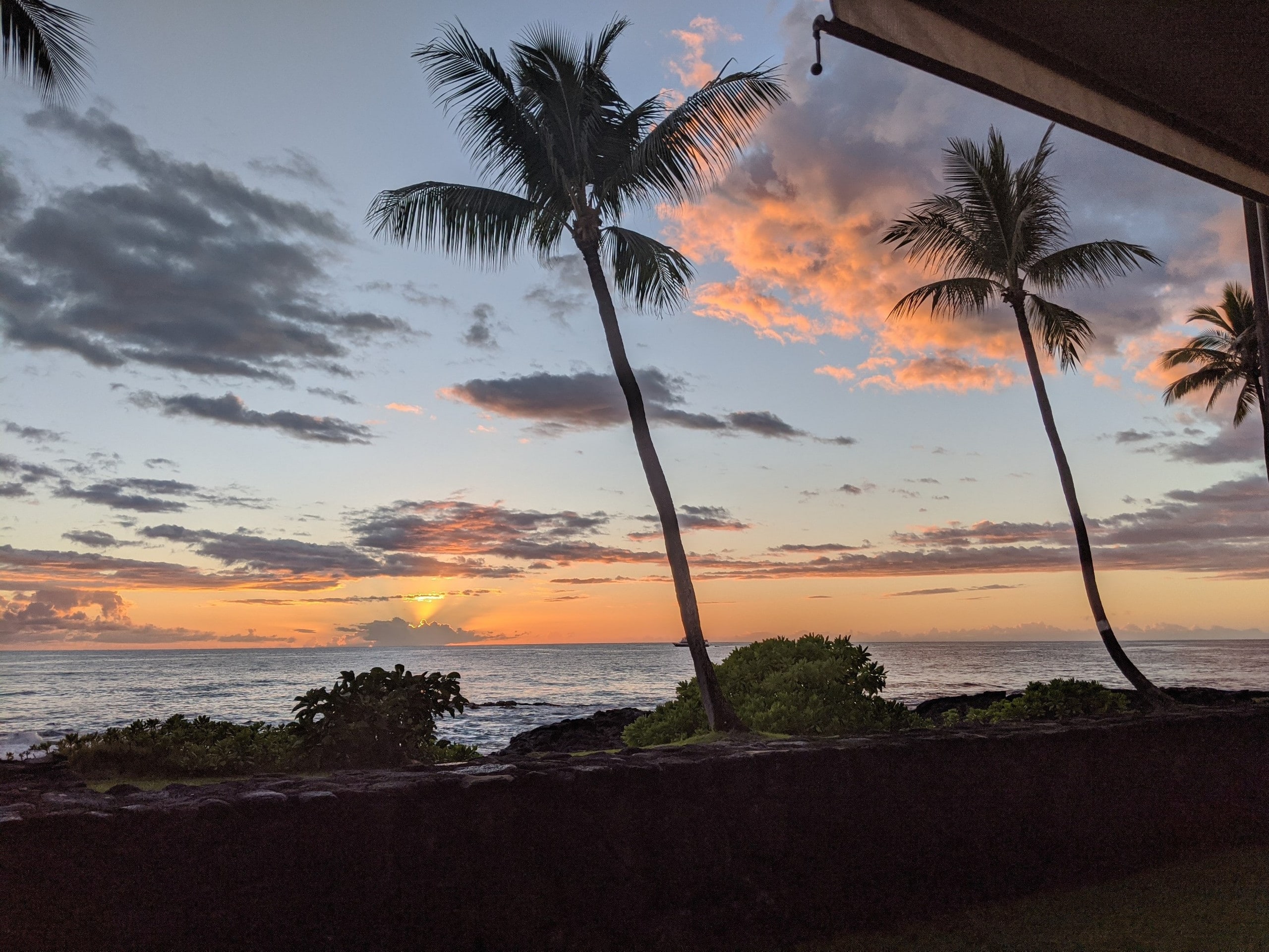 Condo in Kailua-Kona · ★4.9 · 1 bedroom · 1 bed · 1 bath - Image 17