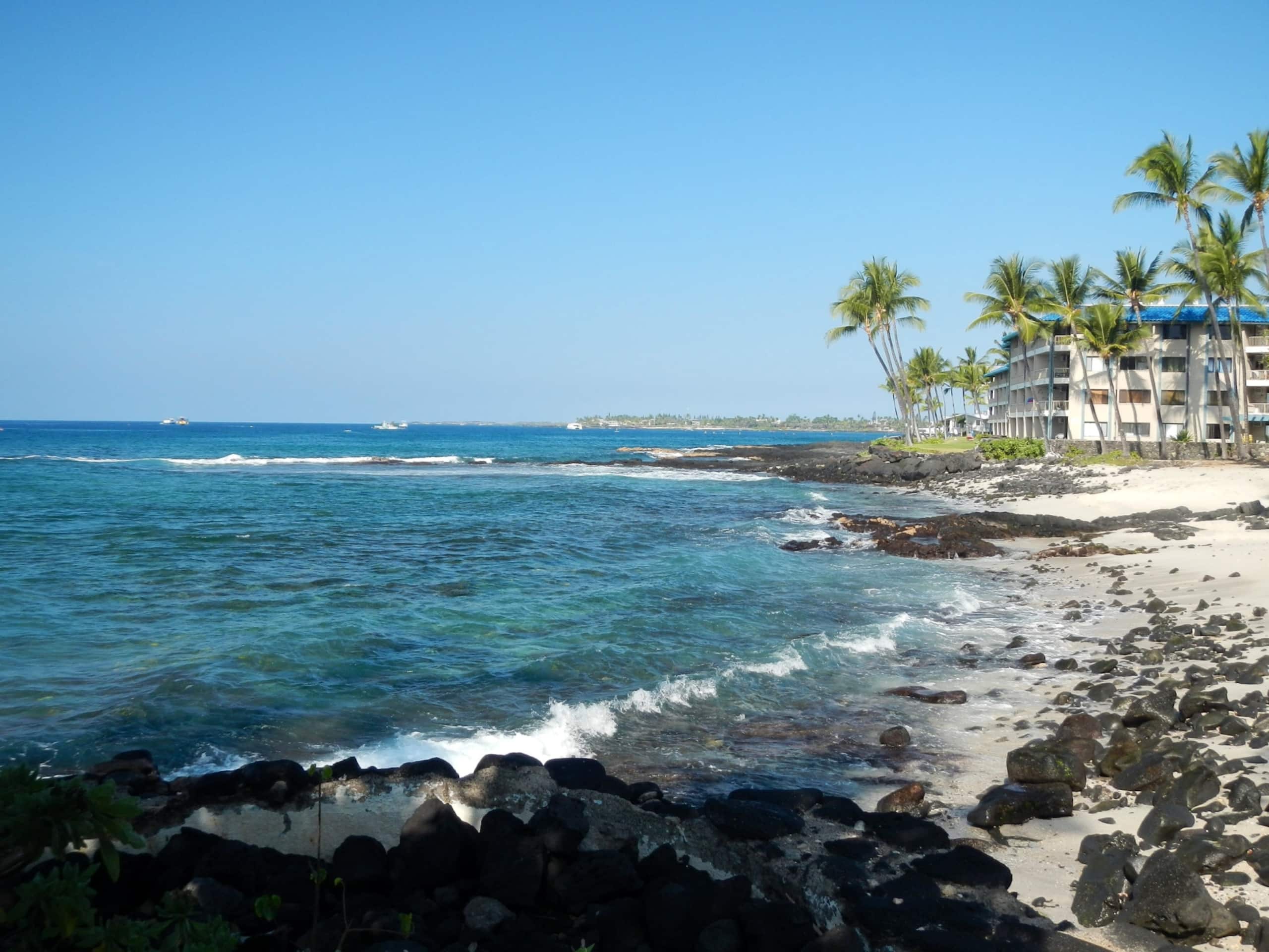 Condo in Kailua-Kona · ★4.9 · 1 bedroom · 1 bed · 1 bath - Image 22