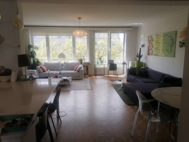 Beautiful appartment next to Ixelles ponds.