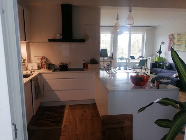 Beautiful appartment next to Ixelles ponds. gallery image 5