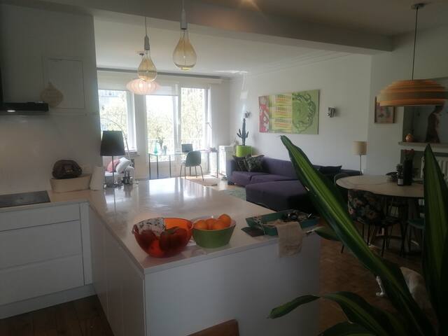 Beautiful appartment next to Ixelles ponds. gallery image 2