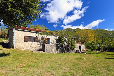 Idyllic countryside house