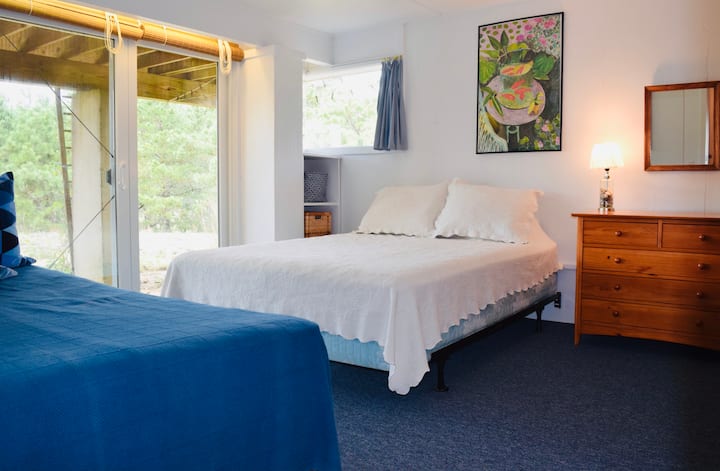 Dormitorio de abajo #2 (con una cama queen y una cama individual, además de un armario grande)