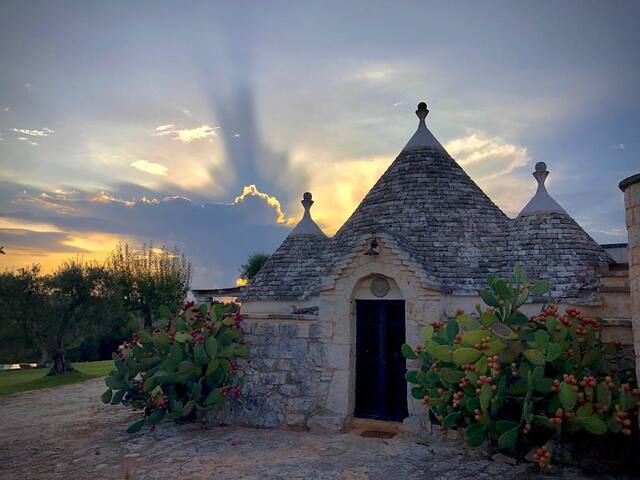 Trullo Le Agavi in the heart of Valle D’ Itria gallery image 5