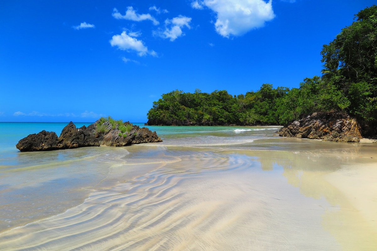 A serene beach scene is shown with soft sand and gentle waves lapping at the shore. Rocky formations adorned with greenery are visible on either side of the beach, under a vibrant blue sky dotted with fluffy white clouds.