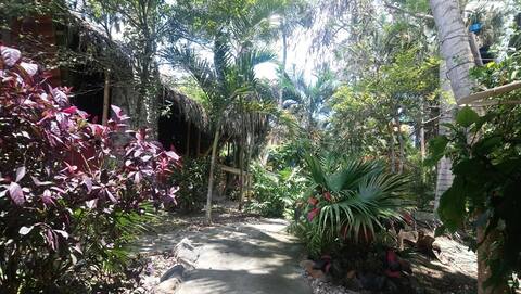 #3 Private Tranquility Cabin Puerto Rico Ecuador