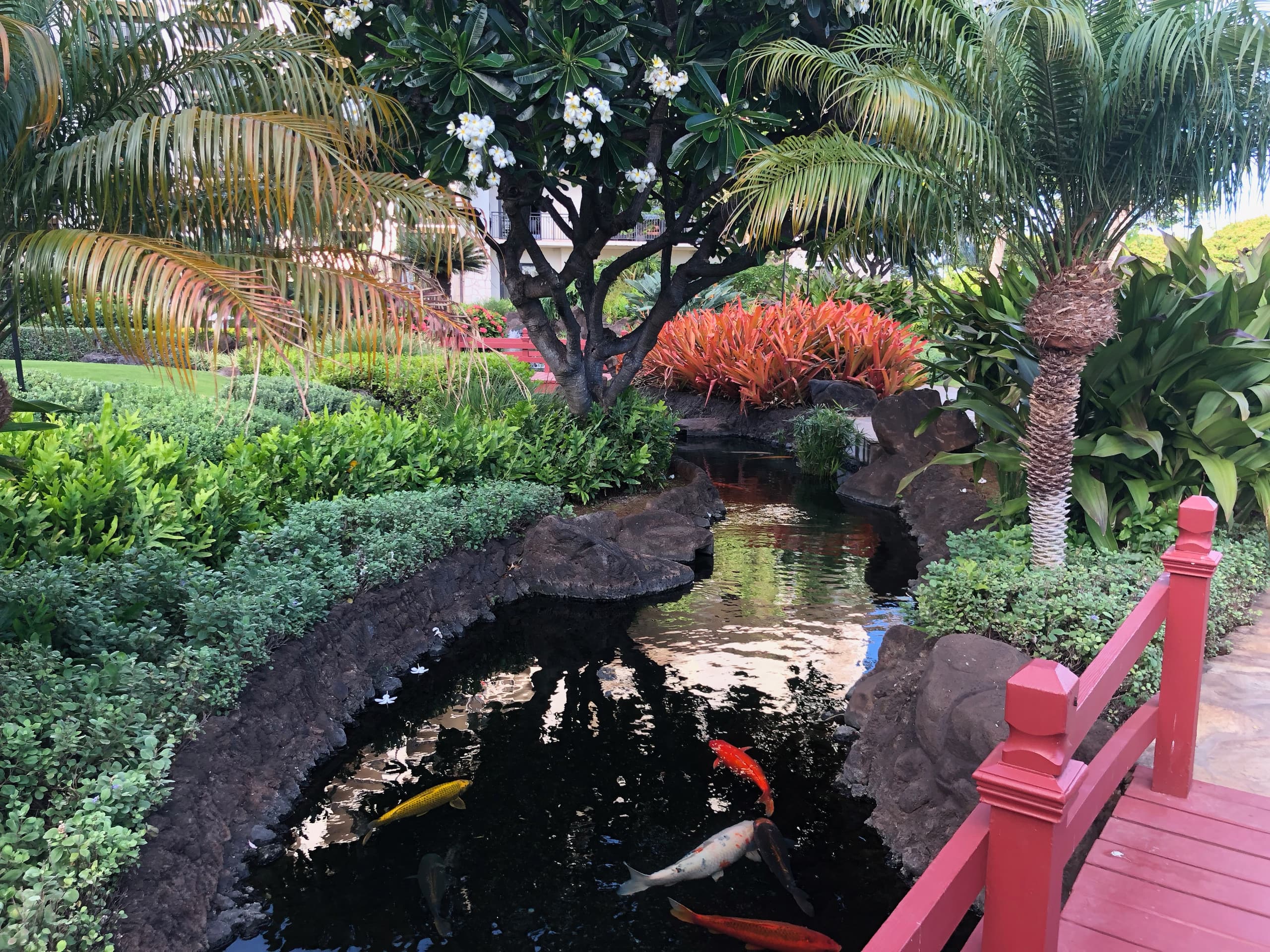 Villa in Honolulu County · ★4.97 · 2 bedrooms · 4 beds · 2 private baths - Image 14
