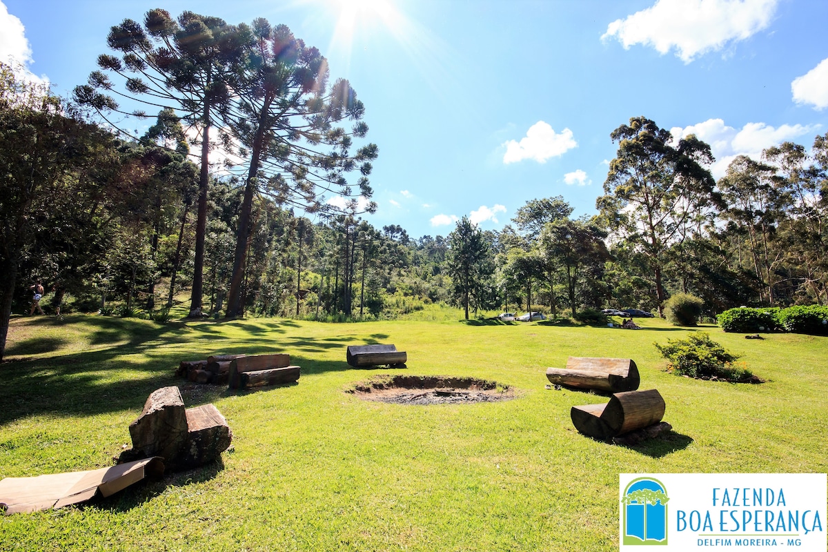 A spacious outdoor area is shown, featuring a circular arrangement of wooden logs for seating around a fire pit. Lush green grass is visible, with tall trees and shrubs in the background, complemented by a bright blue sky with scattered clouds.