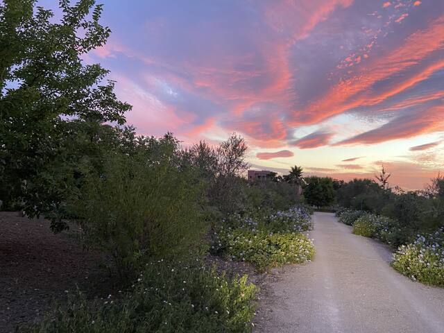 Light flooded Poolvilla embedded in vinyeards gallery image 5