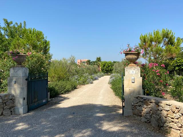 Light flooded Poolvilla embedded in vinyeards gallery image 3