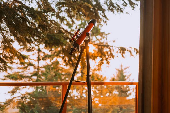 The Sanctuary: Treetop Living gallery image 5