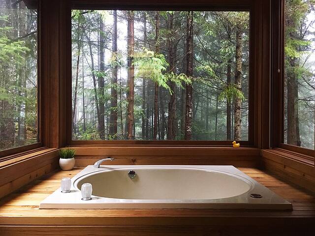 The Sanctuary: Treetop Living gallery image 2