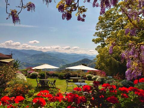 Alishan [Four Seasons Star Sky] Walking Cloud 4people Room/Sunrise Garden View/3 Beds