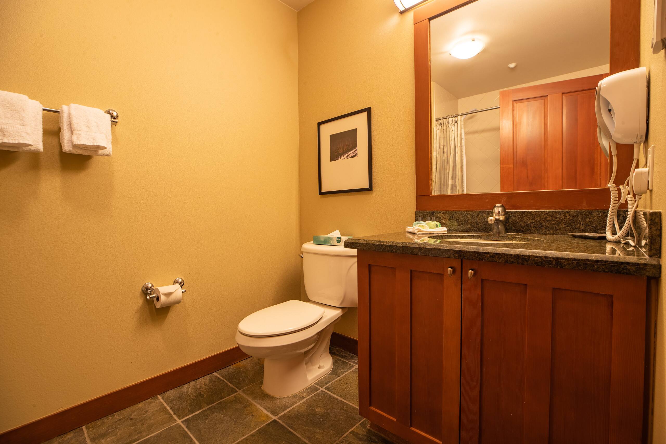 1BR | Village at Palisades Tahoe - Photo 10