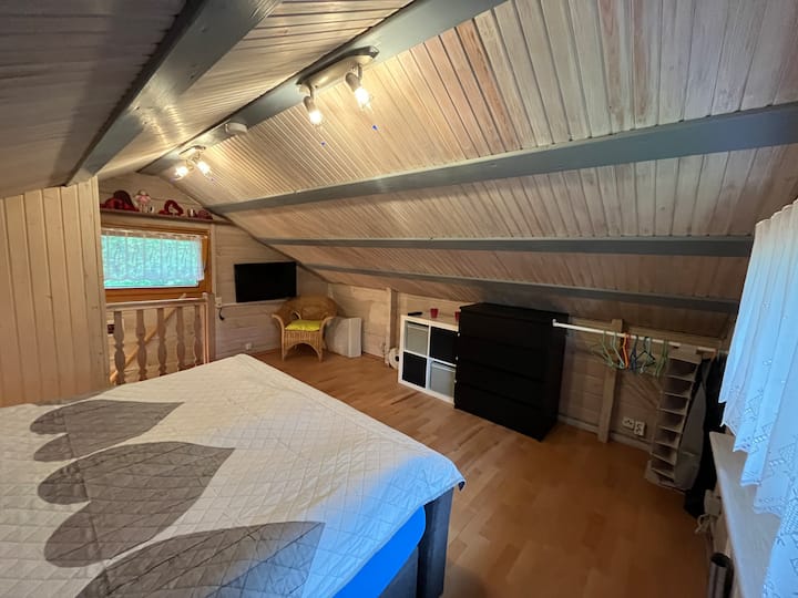 TV and dressers in the bedroom