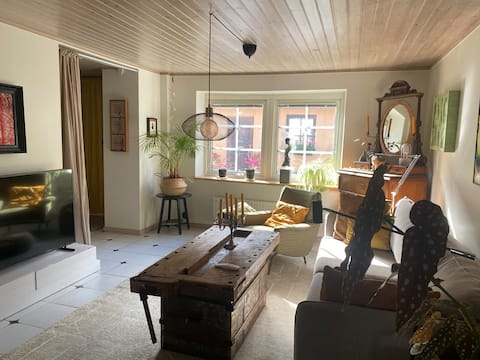Top performing Airbnb: Village House in the middle of Malmö from 1863 in Norr