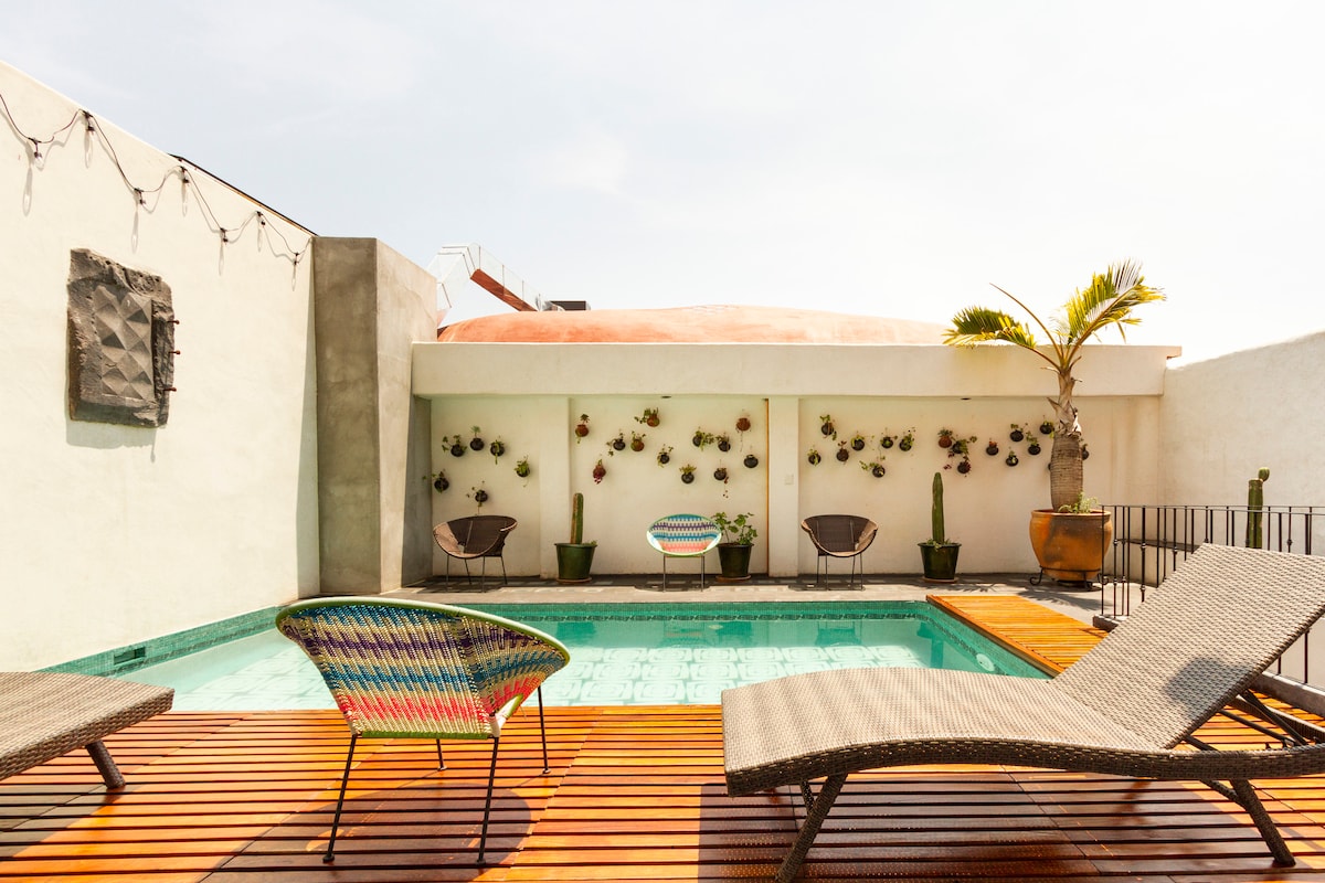A rooftop area features a refreshing pool surrounded by wooden decking. Colorful lounge chairs are positioned near the pool, along with decorative planters mounted on the walls. A palm tree adds a touch of greenery, creating a space for relaxation and enjoyment.