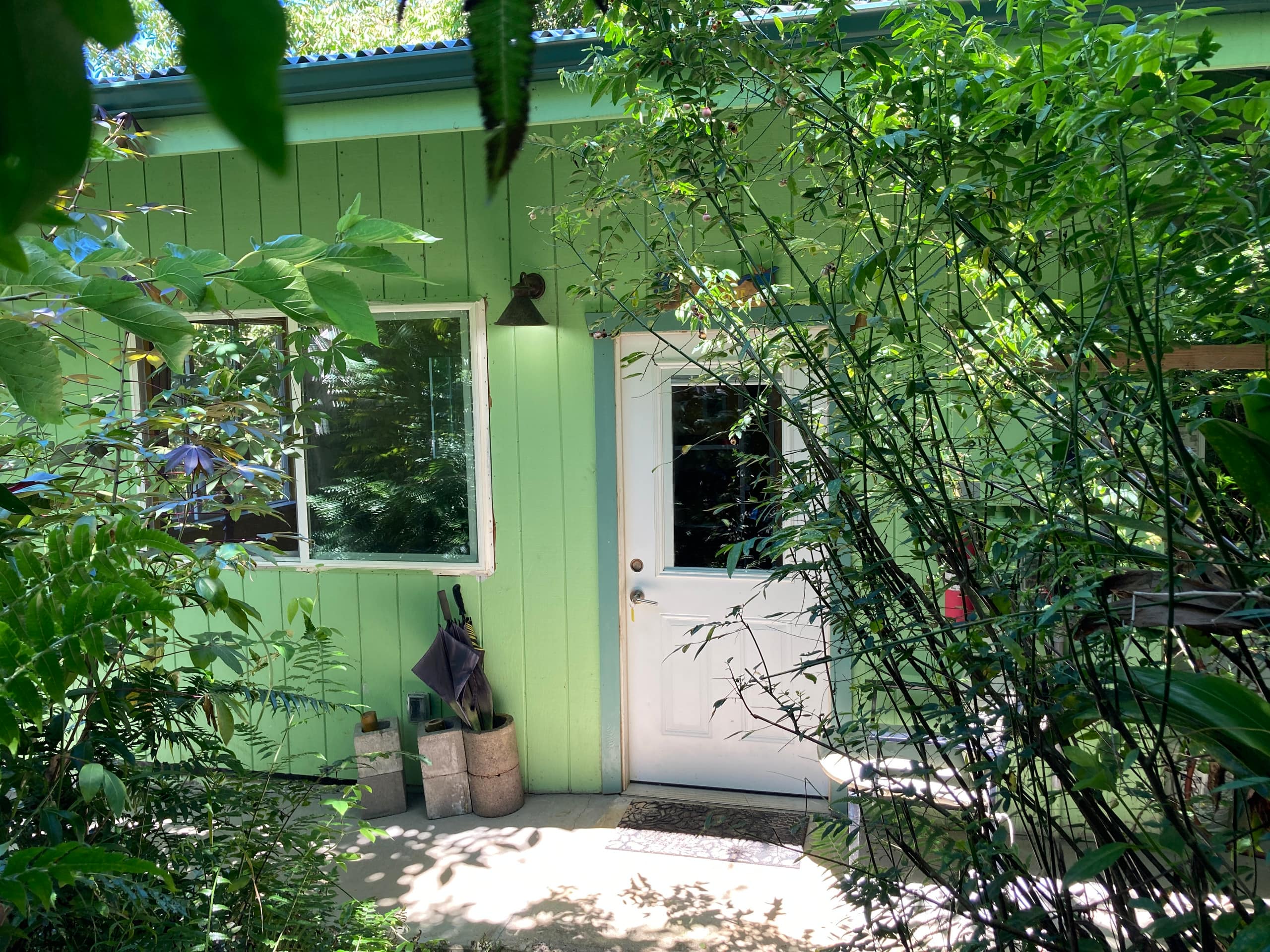 Forest Hale Cabin @ Permaculture Farm, Waterfall - Photo 3