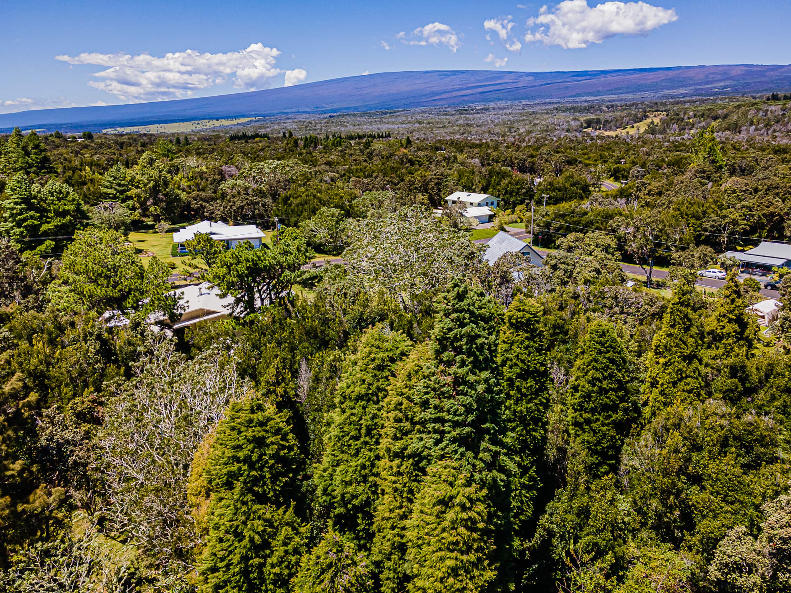 Home in Volcano · ★4.93 · 1 bedroom · 1 bed · 1 private bath - Image 4